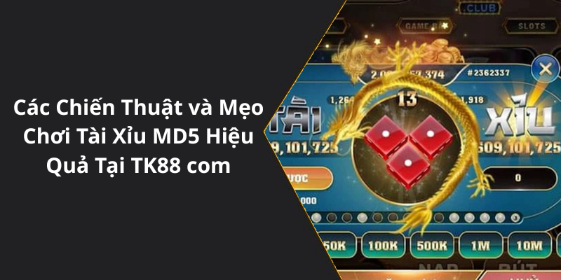 Các Chiến Thuật và Mẹo Chơi Tài Xỉu MD5 Hiệu Quả Tại TK88 com
