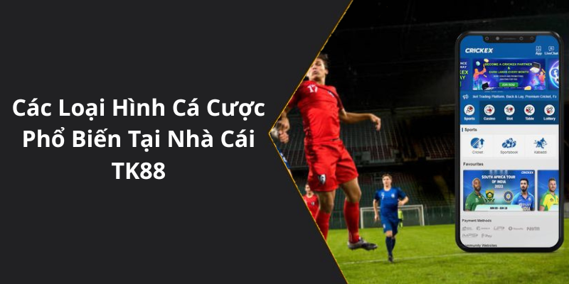 Các Loại Hình Cá cược bóng đá Phổ Biến Tại Nhà Cái TK88