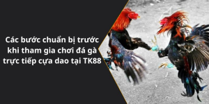 Các bước chuẩn bị trước khi tham gia chơi đá gà trực tiếp cựa dao tại TK88