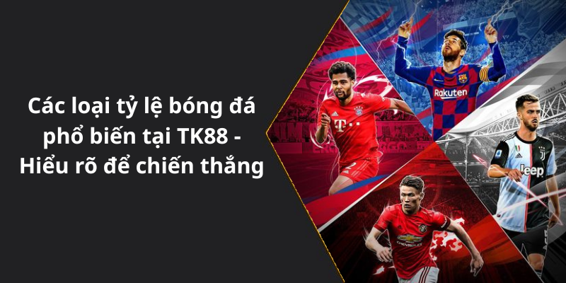 Các loại tỷ lệ bóng đá phổ biến tại TK88 - Hiểu rõ để chiến thắng