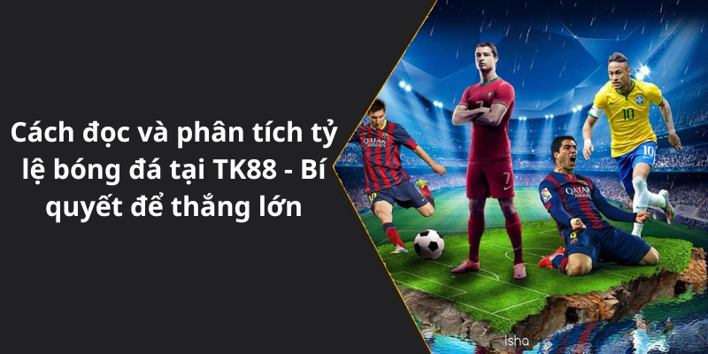 Cách đọc và phân tích tỷ lệ bóng đá tại TK88 - Bí quyết để thắng lớn