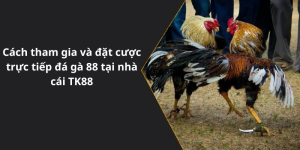 Cách tham gia và đặt cược trực tiếp đá gà 88 tại nhà cái TK88