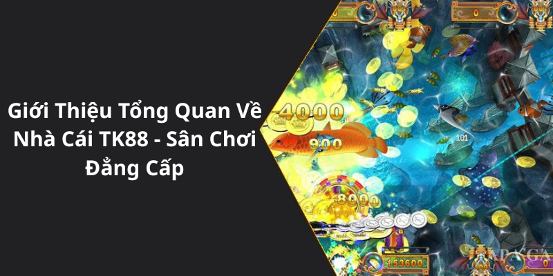 Giới Thiệu Tổng Quan Về Nhà Cái TK88 - Sân Chơi Đẳng Cấp