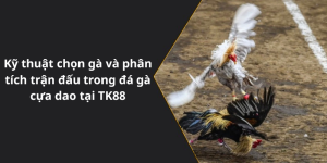 Kỹ thuật chọn gà và phân tích trận đấu trong đá gà cựa dao tại TK88