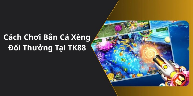 Cách Chơi Bắn Cá Xèng Đổi Thưởng Tại TK88
