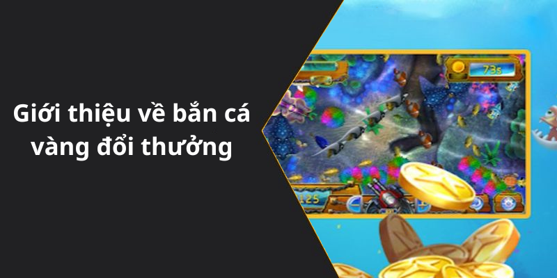 Giới thiệu về bắn cá vàng đổi thưởng