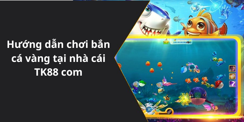 Hướng dẫn chơi bắn cá vàng tại nhà cái TK88 com