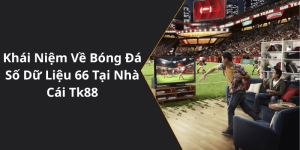 Khái Niệm Về Bóng Đá Số Dữ Liệu 66 Tại Nhà Cái Tk88