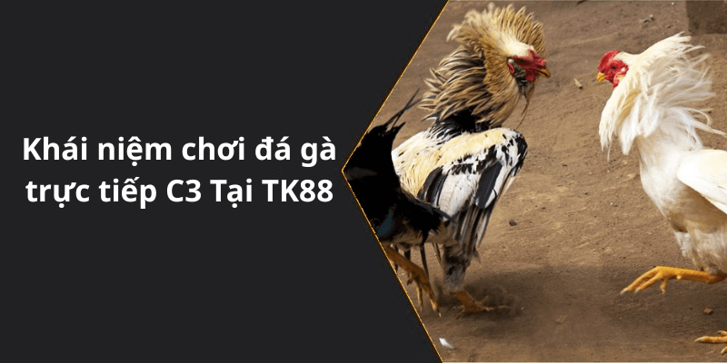 Khái niệm chơi đá gà trực tiếp C3 Tại TK88
